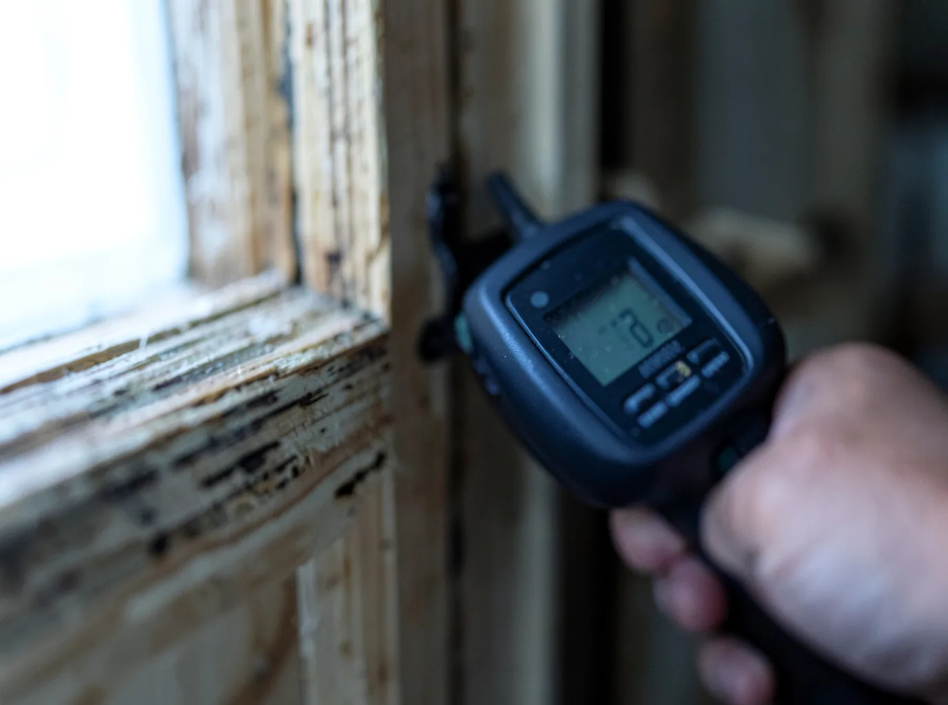 Commercial Water Damage Restoration in Haslett, MI